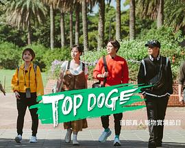 含羞草研究所《TOP DOG》免费在线观看