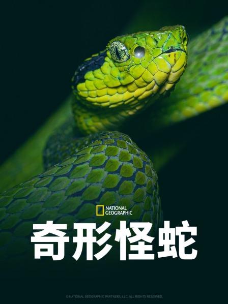 含羞草社区《奇形怪蛇》免费在线观看